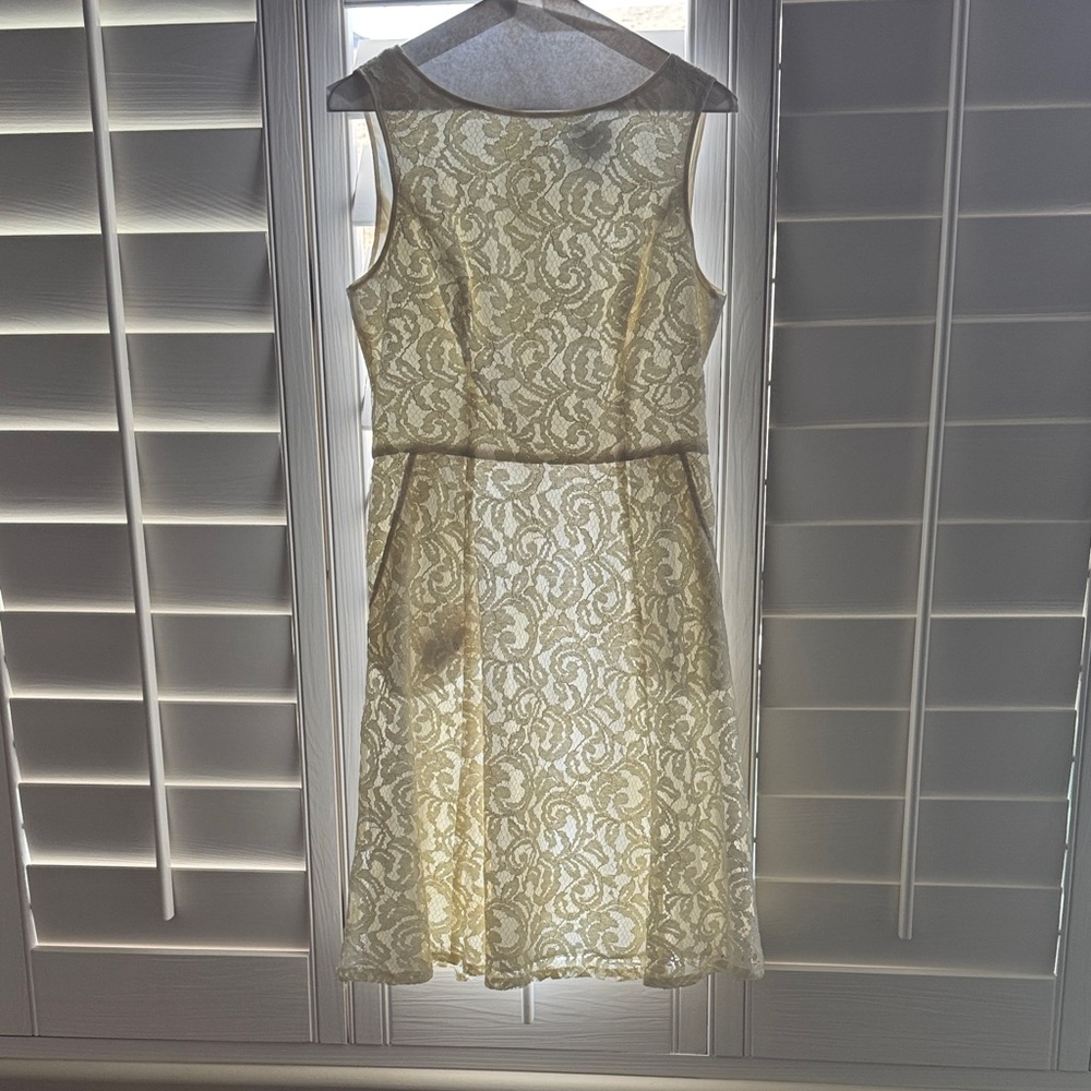 Adrianna Papell Ivory Lace Midi Dress